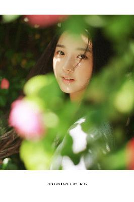 书卷一梦电视剧免费观看完整版