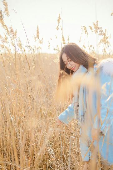 高压监狱在线观看